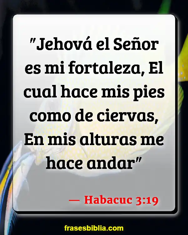 Versículos De La Biblia Fortalezas (Habacuc 3:19)