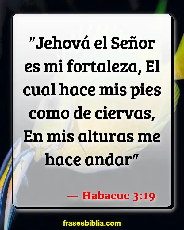 Versículos De La Biblia Fortalezas y debilidades (Habacuc 3:19)