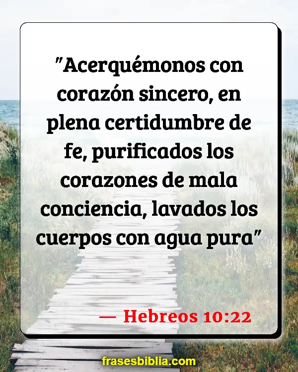 Versículos De La Biblia Nadar (Hebreos 10:22)