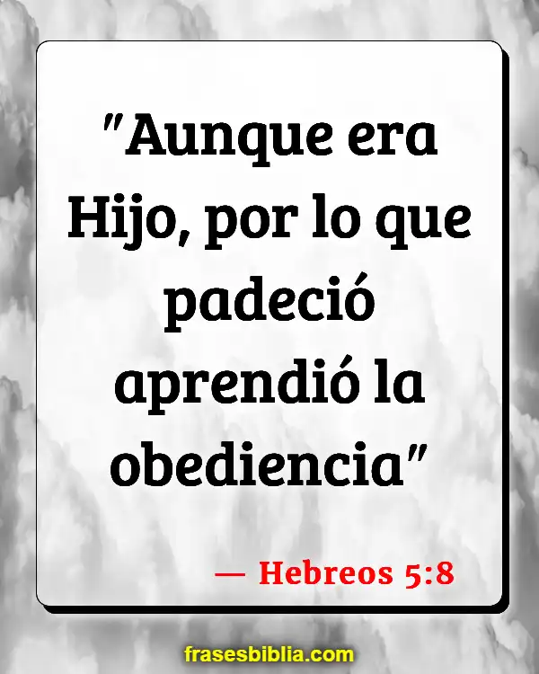 Versículos De La Biblia Por qué yo (Hebreos 5:8)