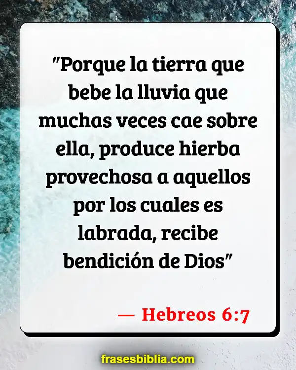 Versículos De La Biblia Hierba (Hebreos 6:7)