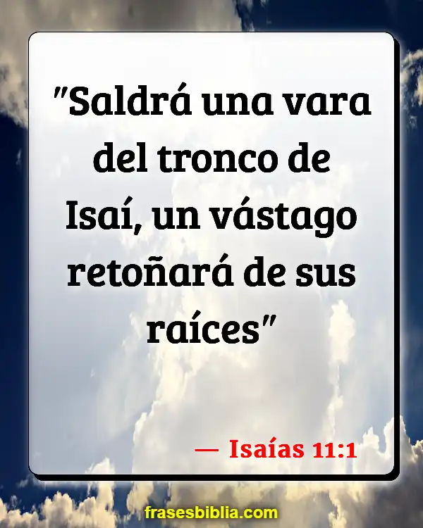 Versículos De La Biblia Belén (Isaías 11:1)