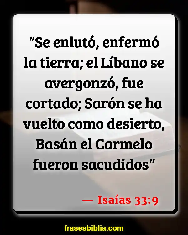 Versículos De La Biblia La rosa de Sharon (Isaías 33:9)