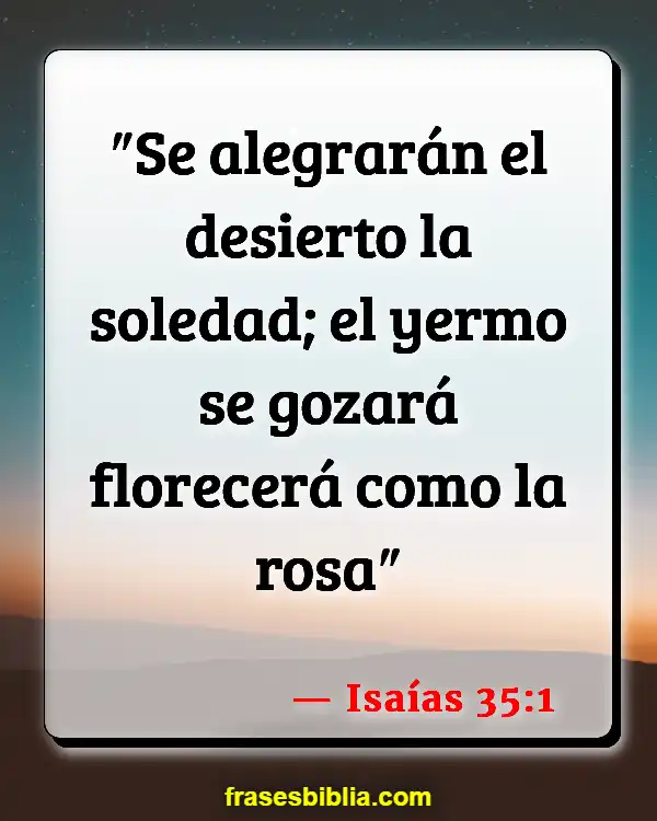 Versículos De La Biblia La rosa de Sharon (Isaías 35:1)