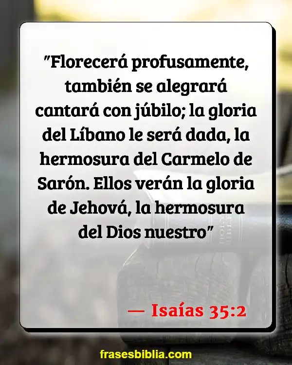 Versículos De La Biblia La rosa de Sharon (Isaías 35:2)