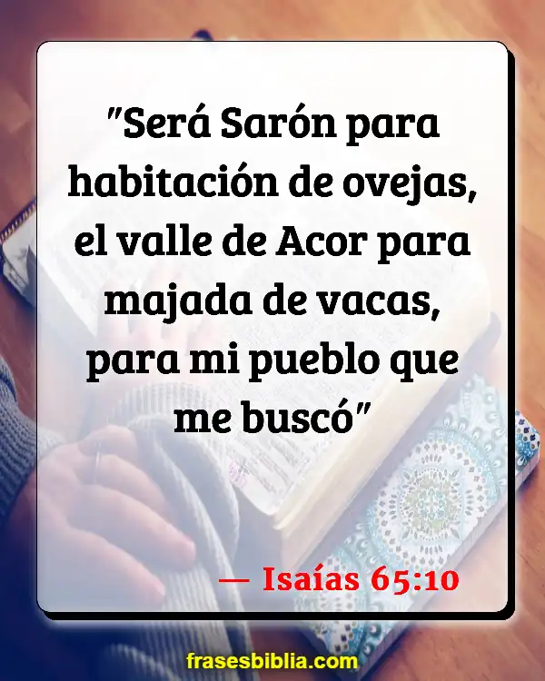 Versículos De La Biblia La rosa de Sharon (Isaías 65:10)