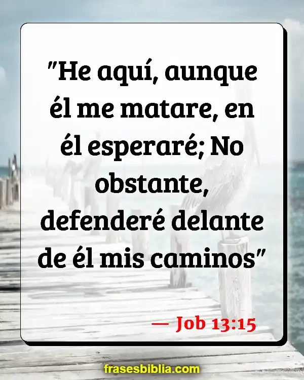 Versículos De La Biblia Amor y confianza (Job 13:15)