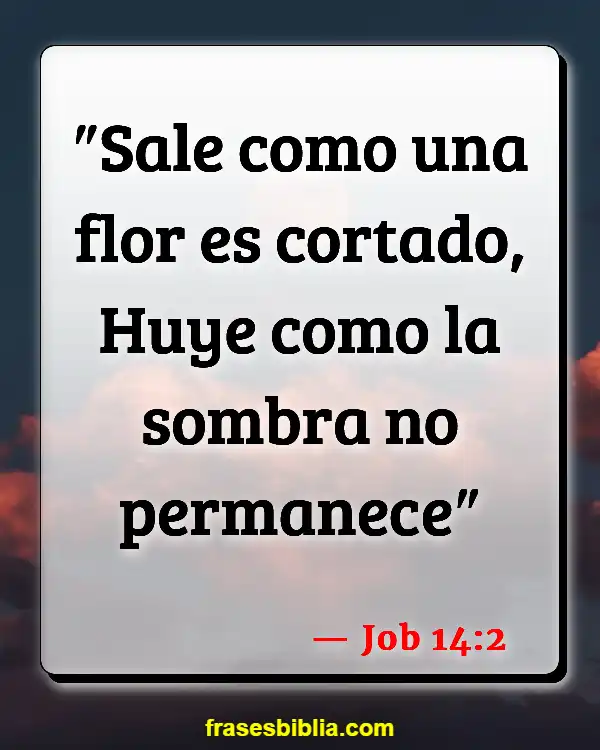 Versículos De La Biblia Jardín (Job 14:2)