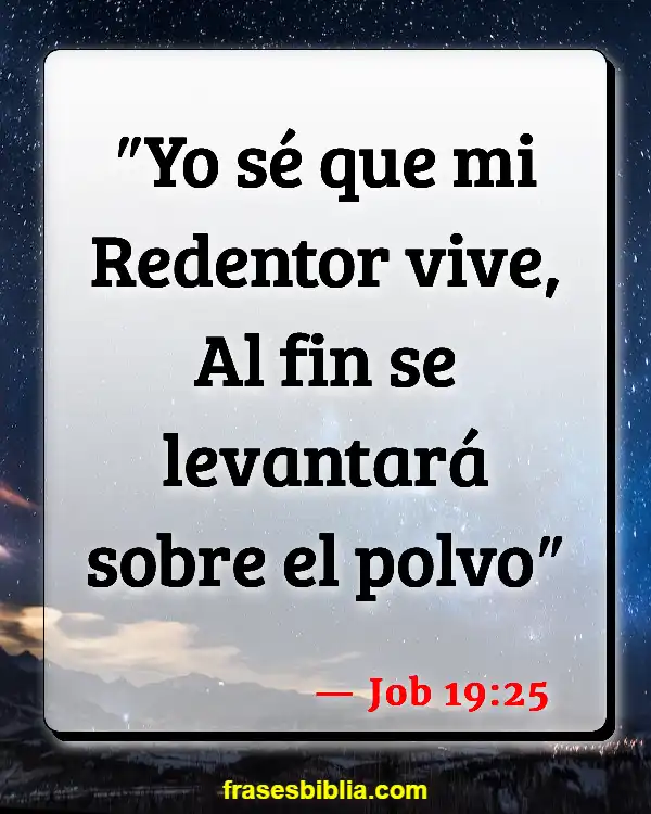 Versículos De La Biblia Preocupado (Job 19:25)