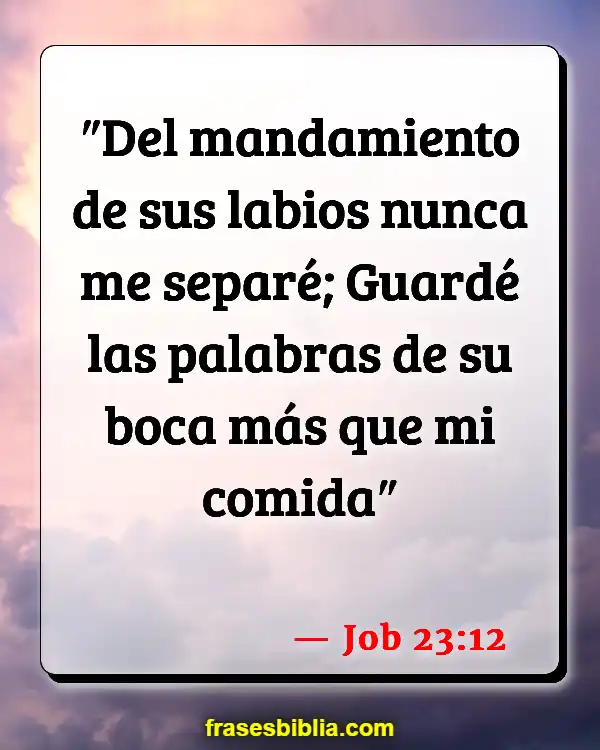 Versículos De La Biblia Lo que hablamos (Job 23:12)