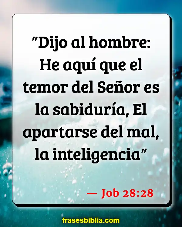 Versículos De La Biblia Palabra de conocimiento (Job 28:28)