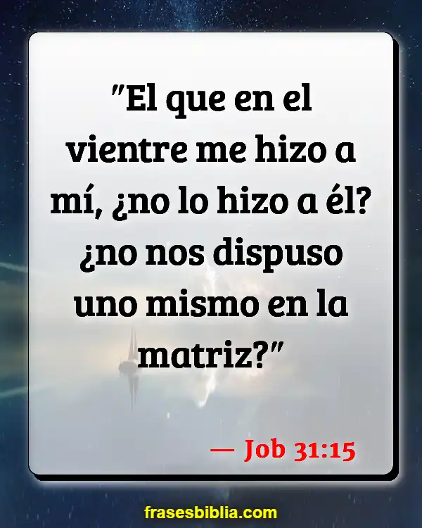 Versículos De La Biblia Feo (Job 31:15)