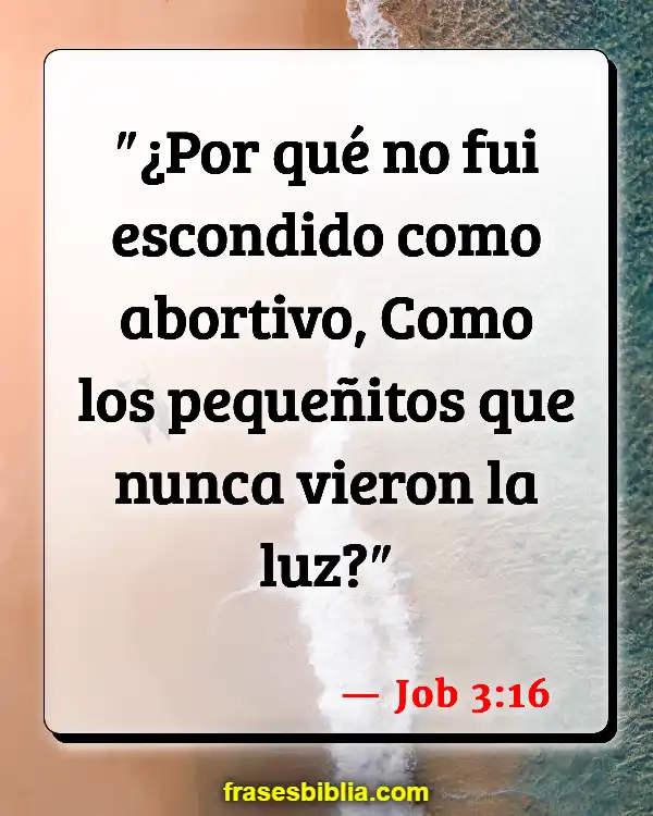 Versículos De La Biblia Nacido muerto (Job 3:16)