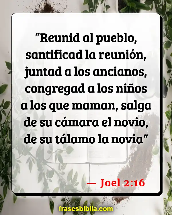 Versículos De La Biblia Novio (Joel 2:16)