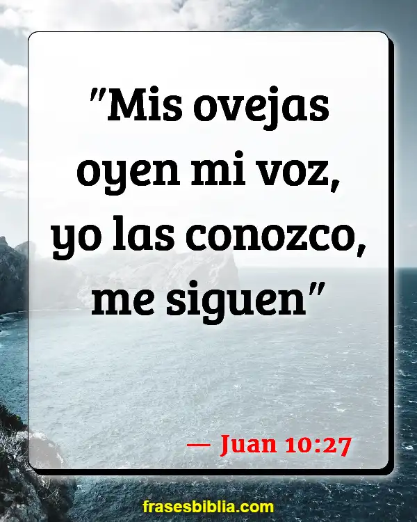 Versículos De La Biblia Oveja (Juan 10:27)