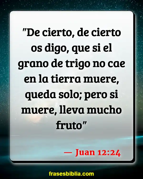 Versículos De La Biblia Testificando a otros (Juan 12:24)