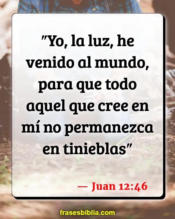 Versículos De La Biblia Por qué necesitamos a Dios (Juan 12:46)