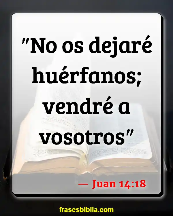 Versículos De La Biblia Infelicidad (Juan 14:18)