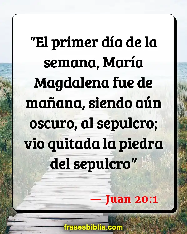 Versículos De La Biblia María Magdalena (Juan 20:1)