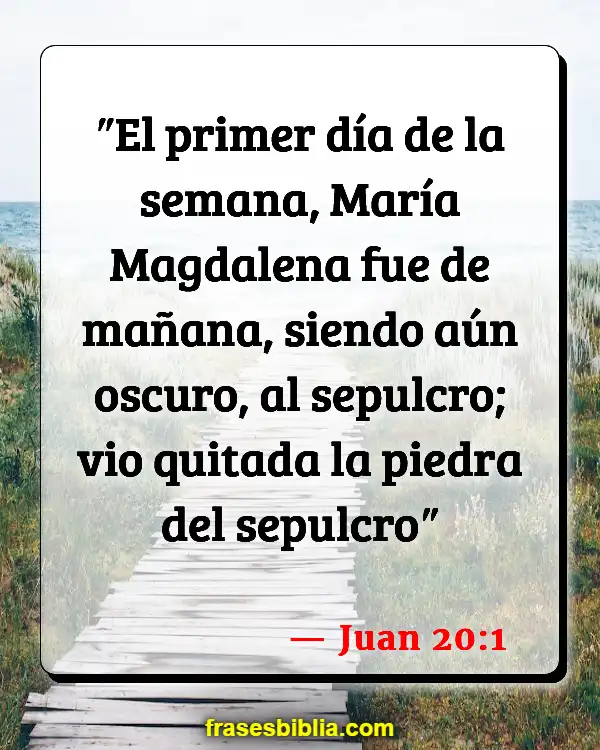 Versículos De La Biblia Amanecer (Juan 20:1)