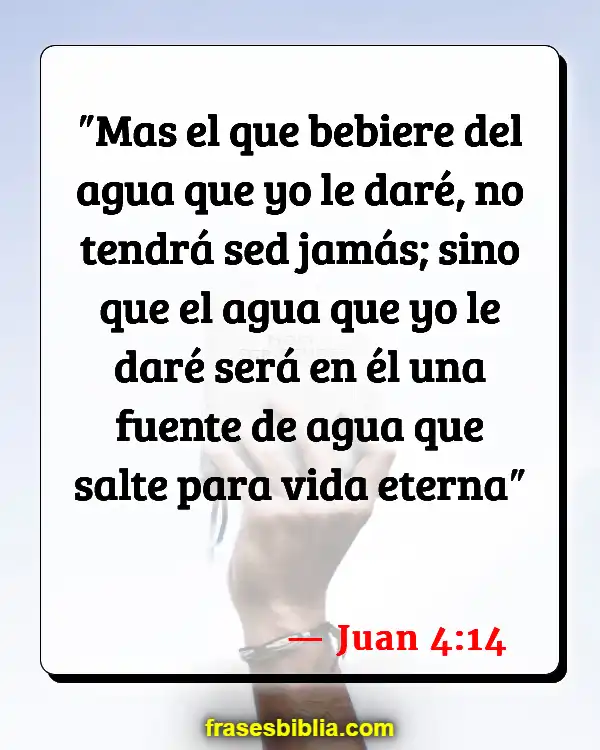 Versículos De La Biblia Pozos (Juan 4:14)