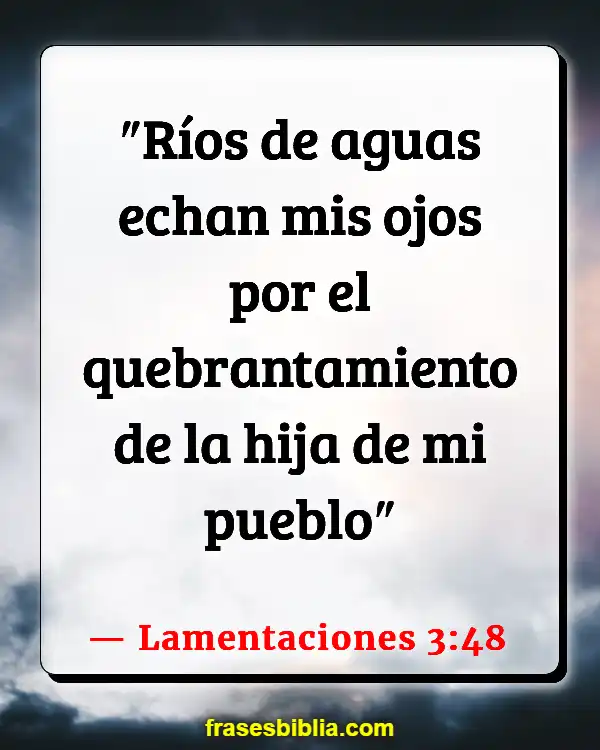 Versículos De La Biblia Autodestrucción (Lamentaciones 3:48)
