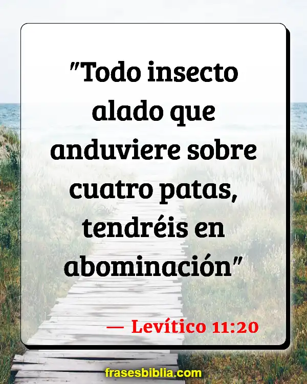 Versículos De La Biblia Abominación (Levítico 11:20)