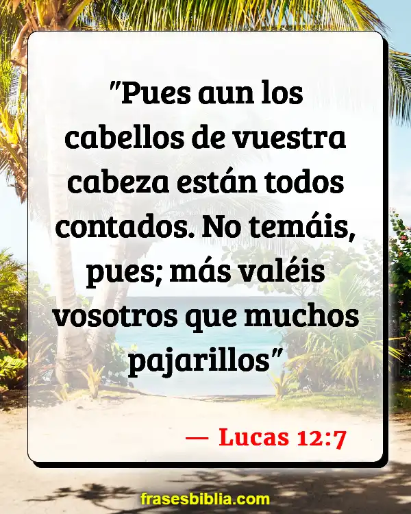 Versículos De La Biblia Maravillosamente hecho (Lucas 12:7)