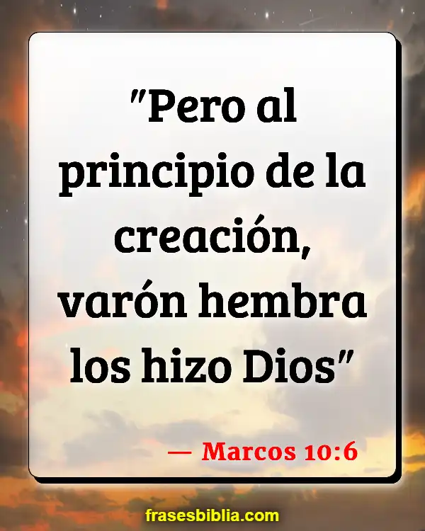 Versículos De La Biblia Amar a un chico (Marcos 10:6)