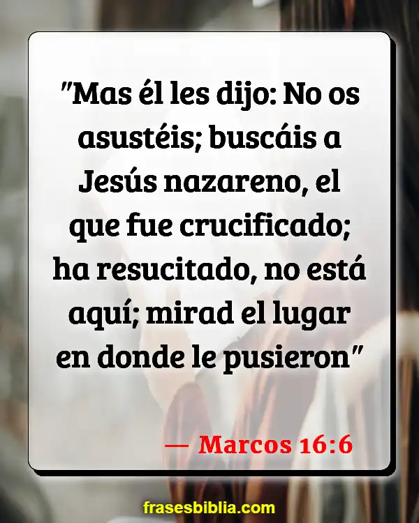 Versículos De La Biblia María Magdalena (Marcos 16:6)