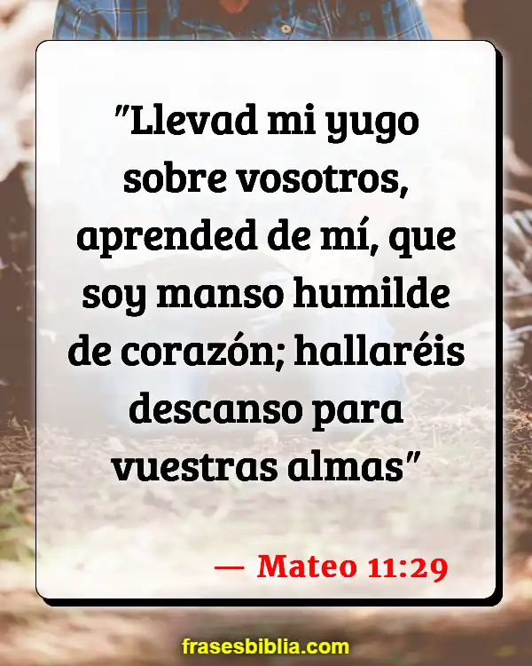 Versículos De La Biblia La rosa de Sharon (Mateo 11:29)