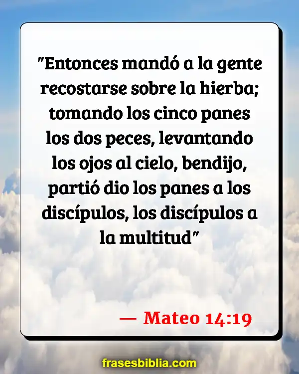 Versículos De La Biblia Última cena (Mateo 14:19)