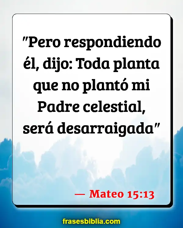 Versículos De La Biblia Hora de plantar (Mateo 15:13)