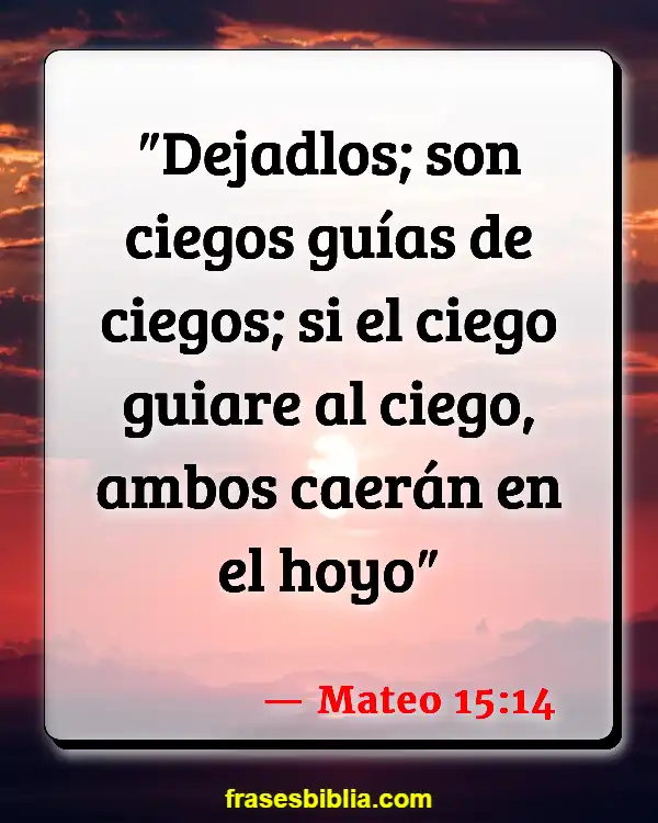 Versículos De La Biblia Ceguera (Mateo 15:14)