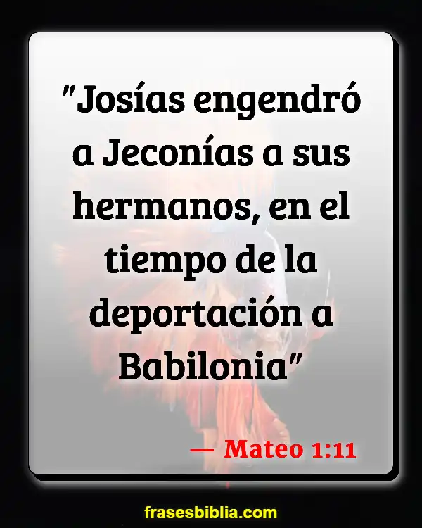 Versículos De La Biblia Genealogía (Mateo 1:11)