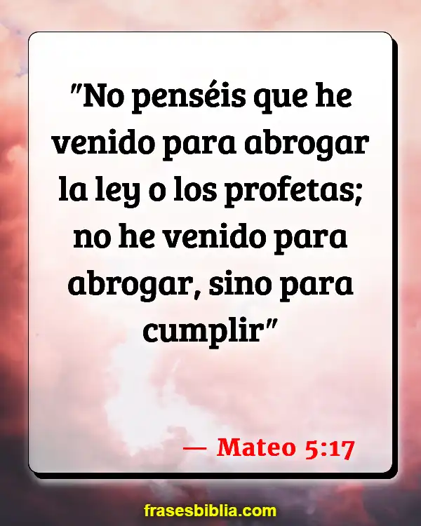 Versículos De La Biblia Injuriar (Mateo 5:17)