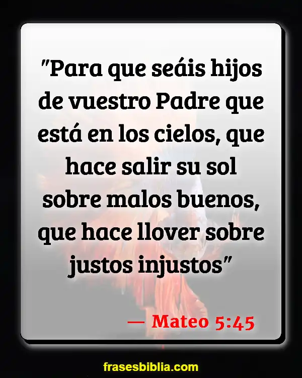 Versículos De La Biblia Amanecer (Mateo 5:45)