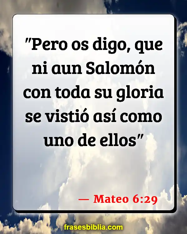 Versículos De La Biblia Qué ponerse (Mateo 6:29)