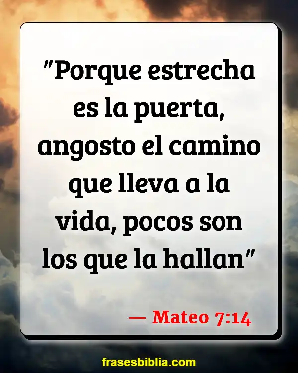 Versículos De La Biblia Hambre mundial (Mateo 7:14)