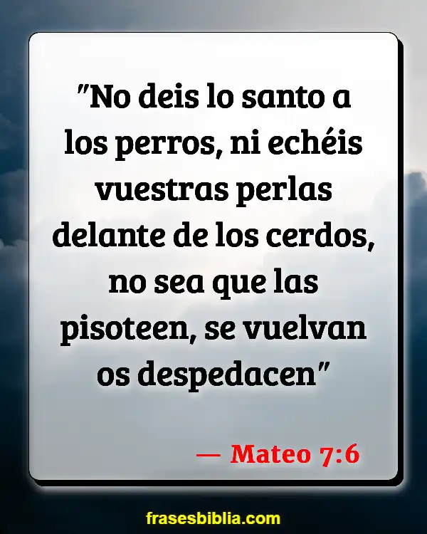 Versículos De La Biblia No juzgar (Mateo 7:6)