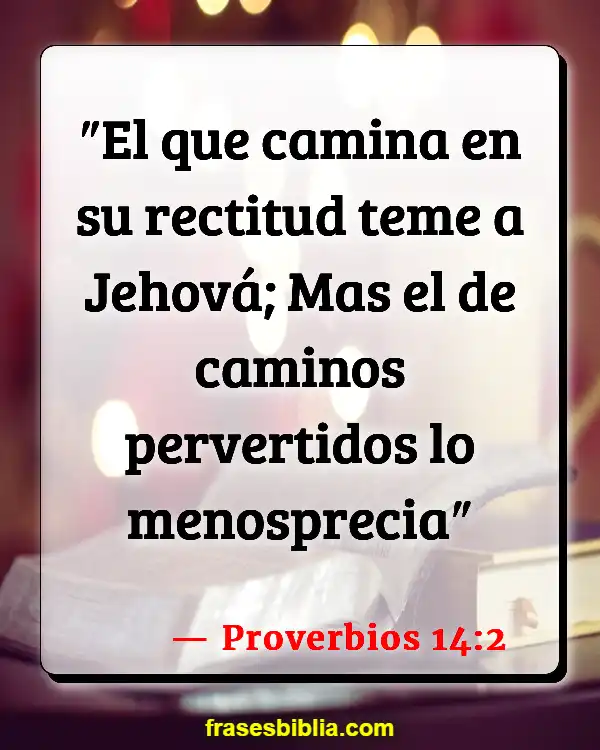 Versículos De La Biblia Mentir sobre dar (Proverbios 14:2)
