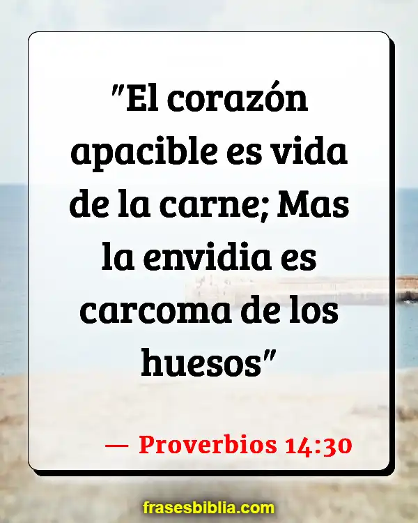 Versículos De La Biblia Envidiar (Proverbios 14:30)