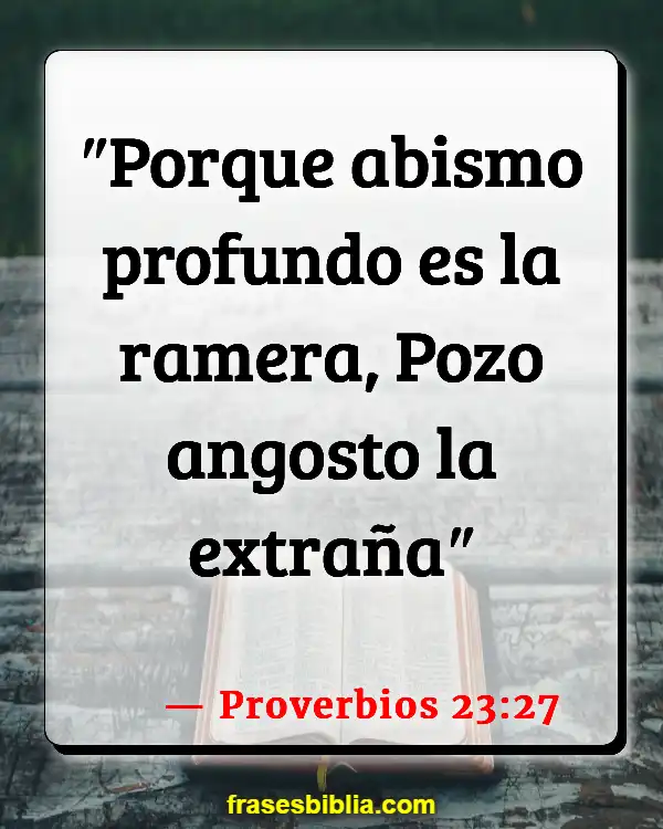 Versículos De La Biblia Puta (Proverbios 23:27)