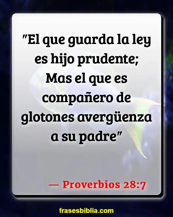 Versículos De La Biblia Pérdida de peso (Proverbios 28:7)