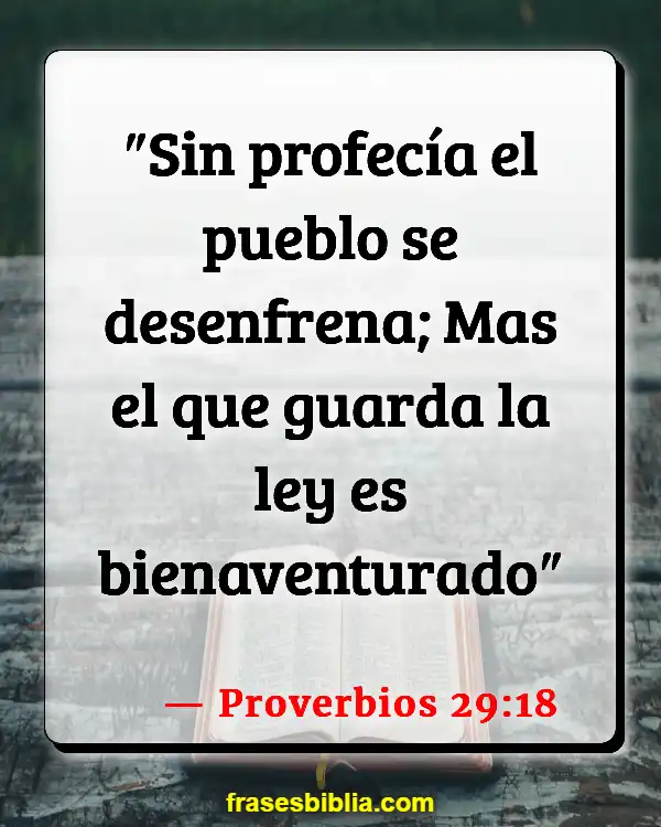Versículos De La Biblia Felicidad verdadera (Proverbios 29:18)