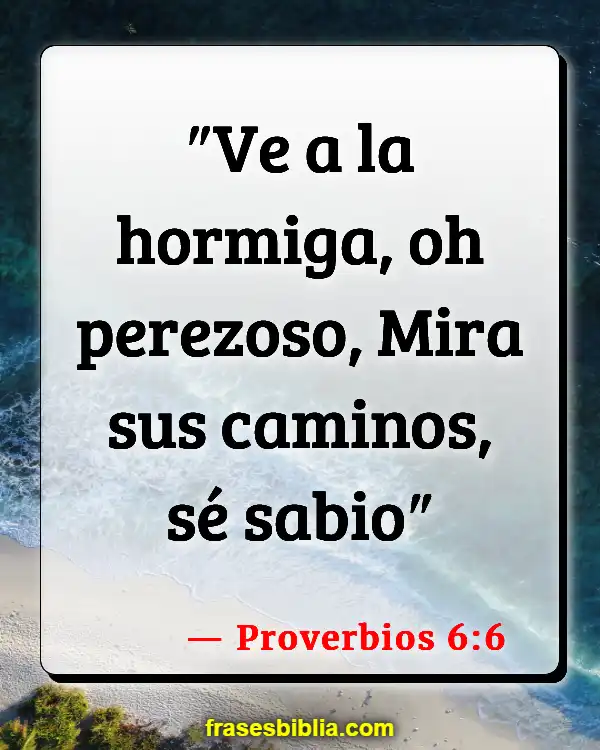 Versículos De La Biblia Hora de irse (Proverbios 6:6)