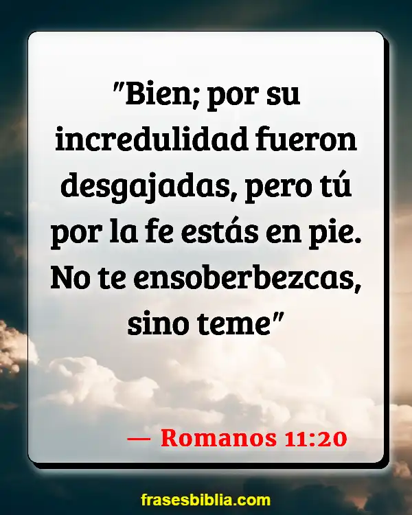 Versículos De La Biblia Enoc (Romanos 11:20)