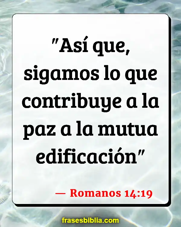 Versículos De La Biblia Desunión (Romanos 14:19)