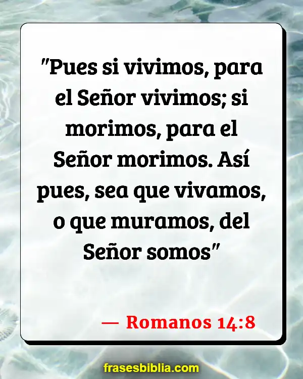 Versículos De La Biblia Su vida (Romanos 14:8)
