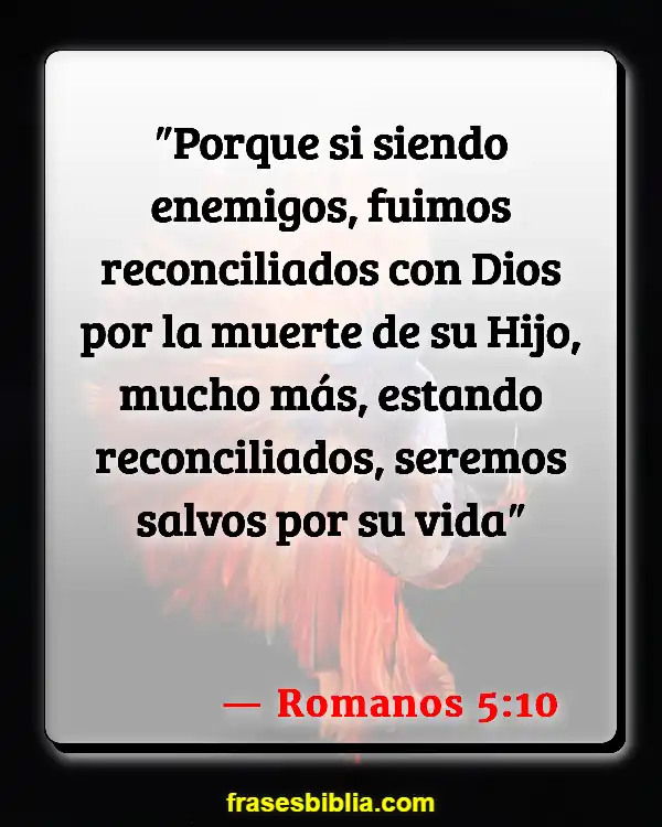 Versículos De La Biblia Feo (Romanos 5:10)